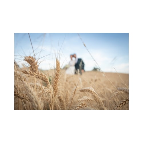 fotografo di matrimonio a Reggio Emilia