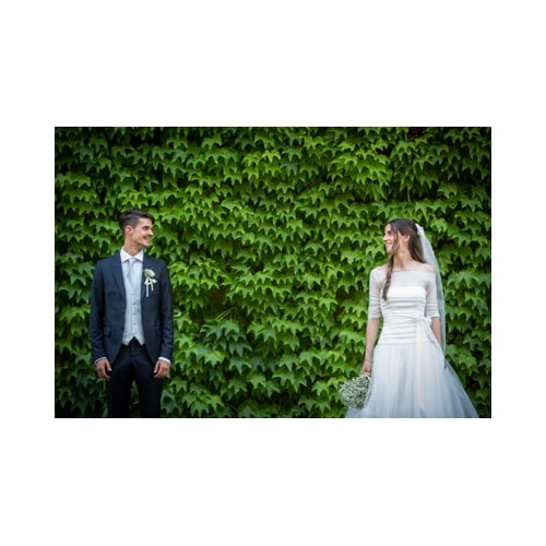 fotografo di matrimonio a Reggio Emilia