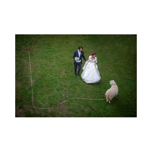 fotografo di matrimonio a Reggio Emilia